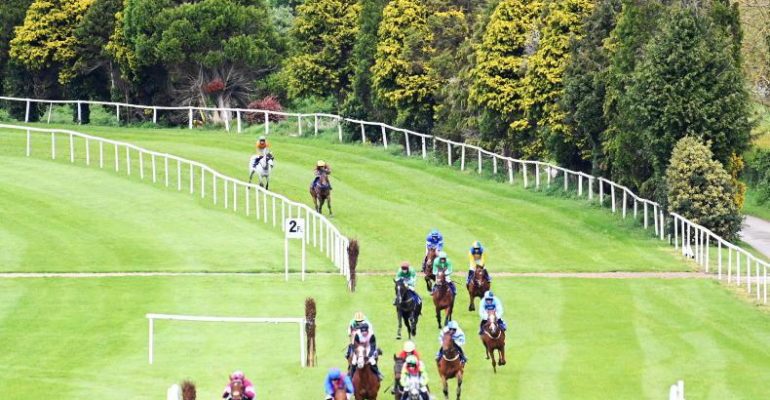 A trip to Tipp is a must