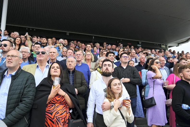 Crowed at Galway Races
