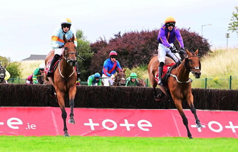 Ash Tree Meadow (left) and Authorized Art (right) were first and second in the Galway Plate last month.
